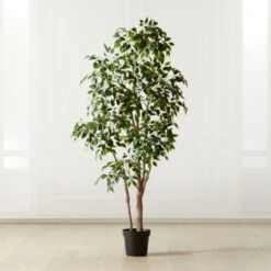 Banyan Leaf Tree 6'