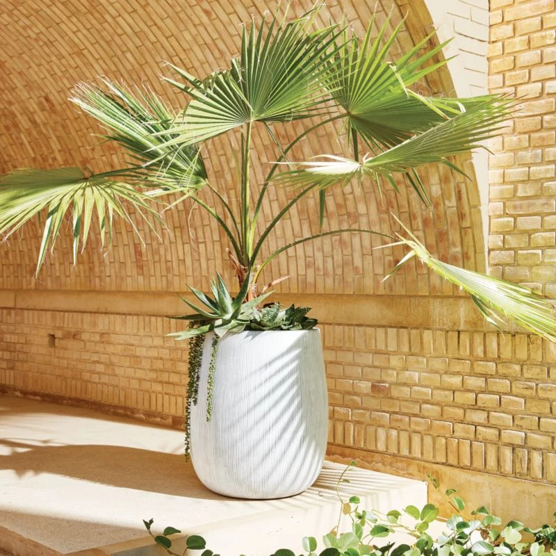 Pod Grey Cement Indoor/Outdoor Planter Medium - Image 6