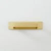 Damon Brushed Brass Handle With Back Plate 3"
