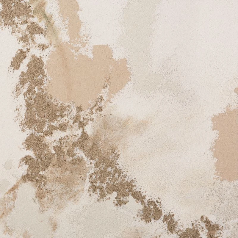 'Gina' Framed Wall Art 50''x60'' - Image 2