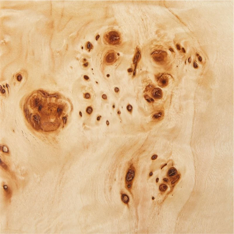 Marisa Burl Wood Desk 60'' - Image 9