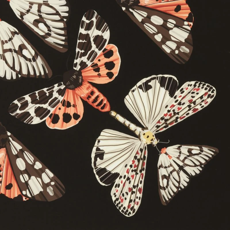 'Papillion' Framed Giclee Art Print 24"x24" - Image 2