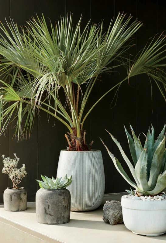 Pod Grey Cement Indoor/Outdoor Planter Medium - Image 11