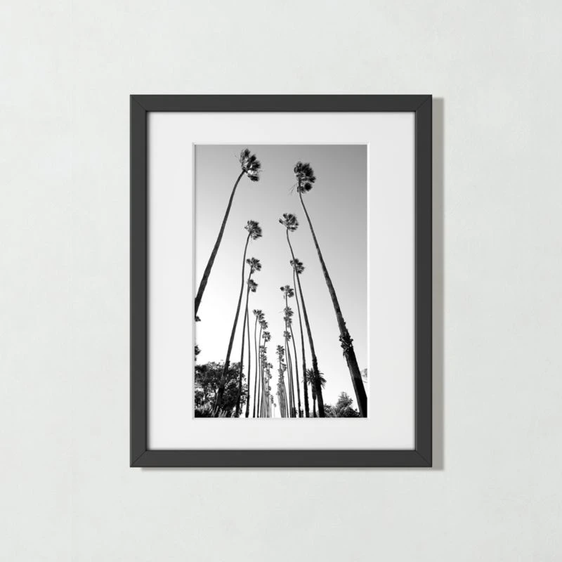 'Palm Trees Road' Photographic Print In Black Frame 17.5"x21.5"