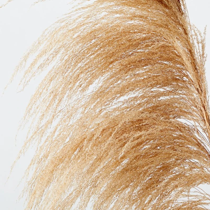 Uva Taupe Stalk 6'–8' Set Of 3 - Image 2